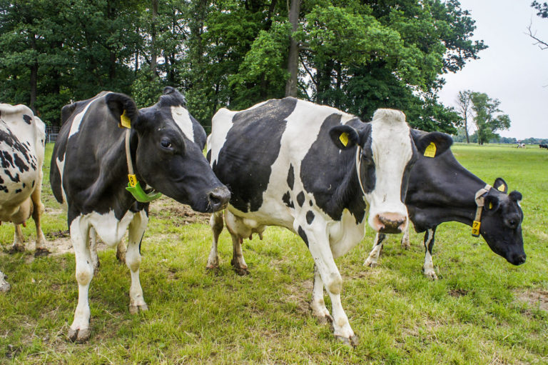 Fortschritte bei Spitzengespräch