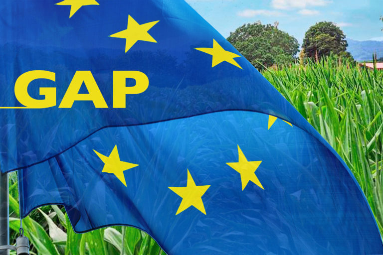 Neue GAP, neue Regeln und 
ein blauer Brief aus Brüssel