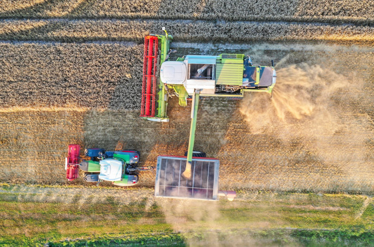 IGC erwartet geringere Getreideernte
