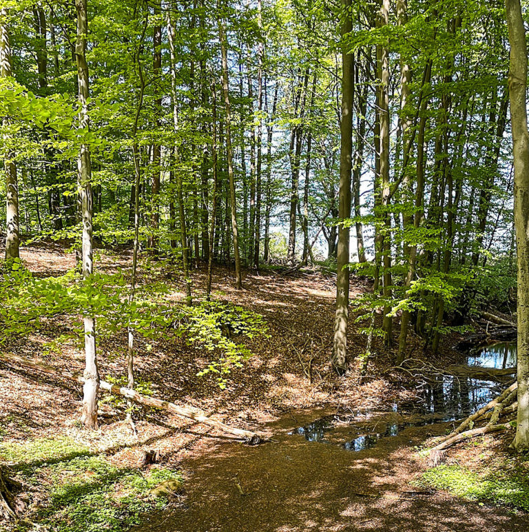 Vertragsnaturschutz im Privatwald noch aktiv