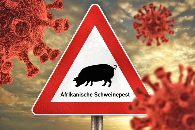 Hoffen auf isolierten Punkteintrag