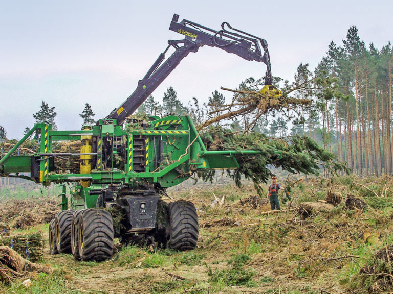 Nutzung der Wälder ist der beste Klimaschutz