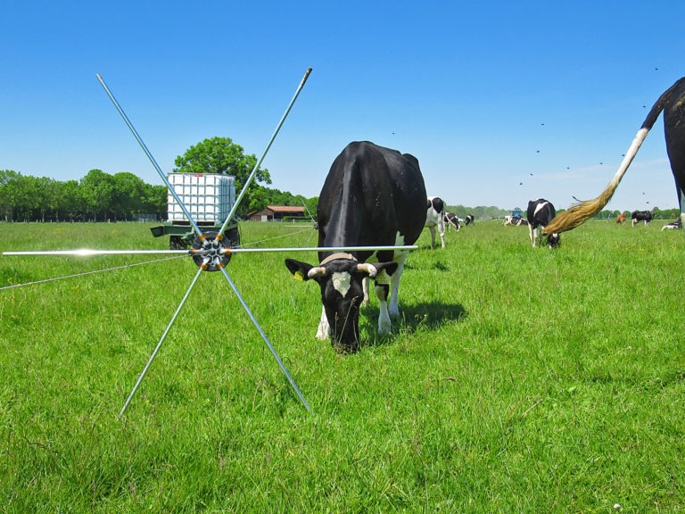 Was ist eigentlich Mob Grazing?