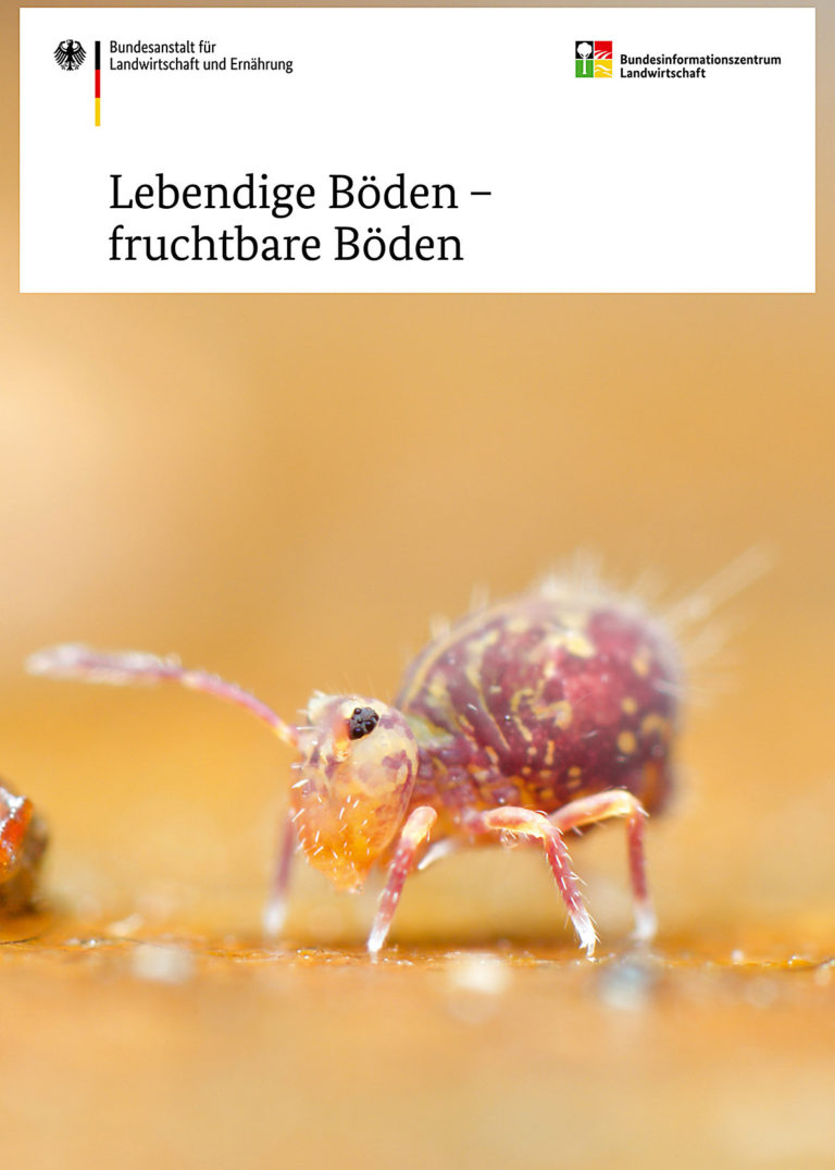 Bodenorganismen fördern