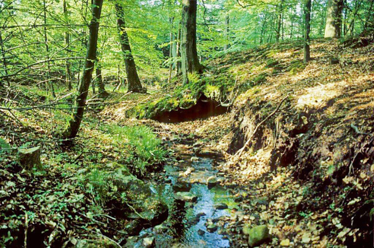 40 Jahre für Naturschutz im Einklang mit allen
