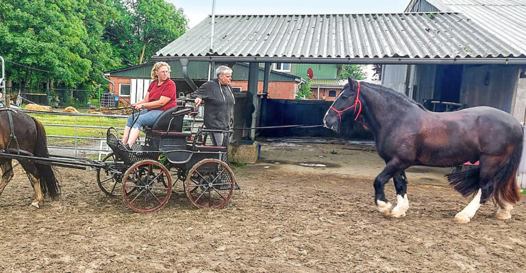 Kutschen versus Reiter