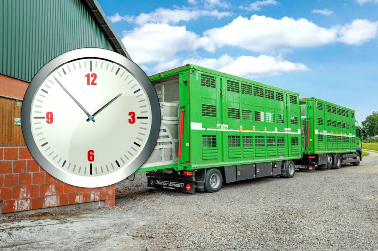 Strengere Regeln zum Tiertransport gefordert