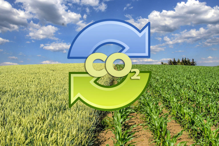 Die Rolle der Landwirtschaft neu denken