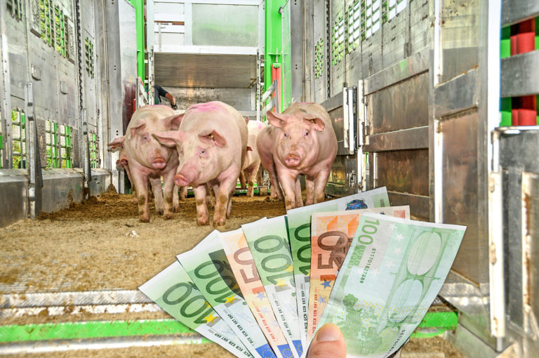 Schweinehaltung auf dem Rückzug