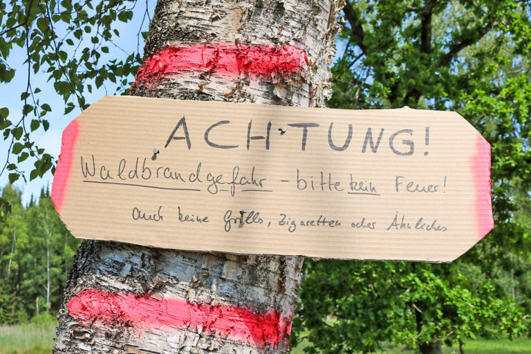 Wird Deutschland jetzt Waldbrandland?