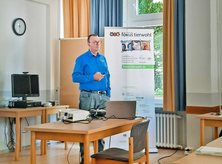Wie man Herdentieren den Stress nimmt