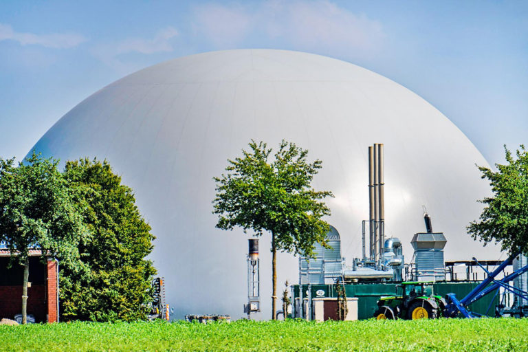 Biogasanteil an der Stromerzeugung leicht rückläufig