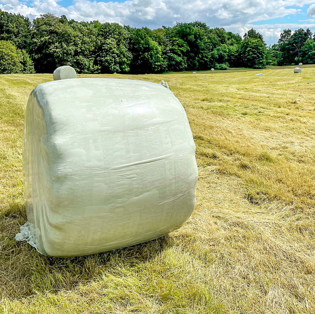 Umsatzsteuer – Wechsel zur Regelbesteuerung - Bauernblatt Schleswig