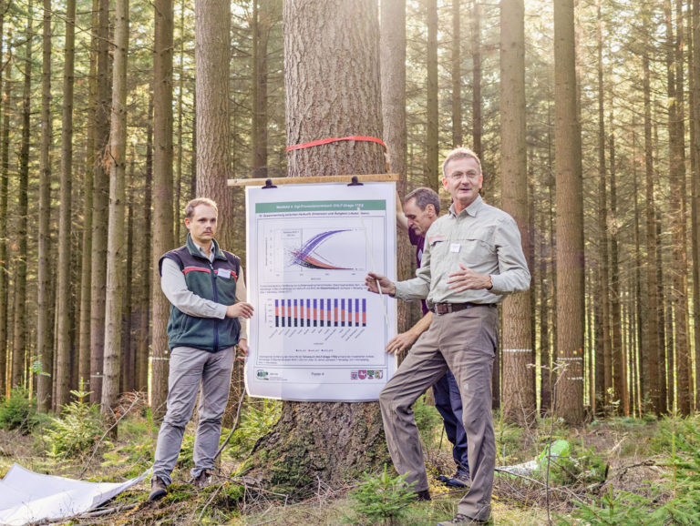 Forschungsergebnisse zum Waldwachstum