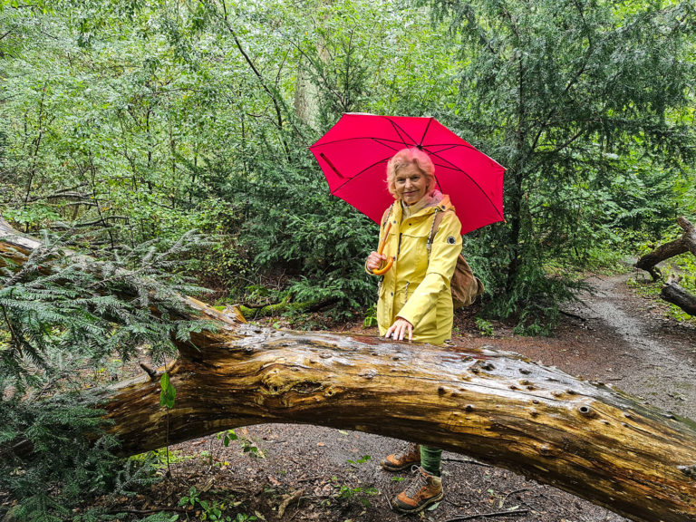Ab in den Wald