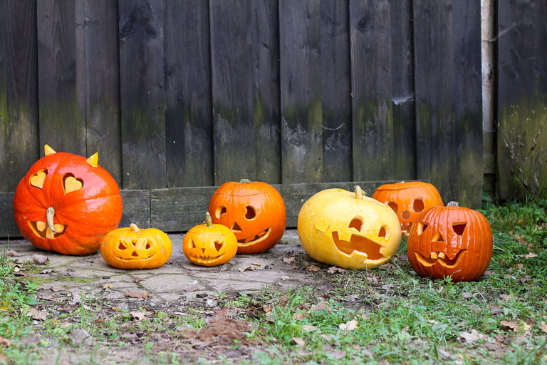 Kürbiskunst zu Halloween