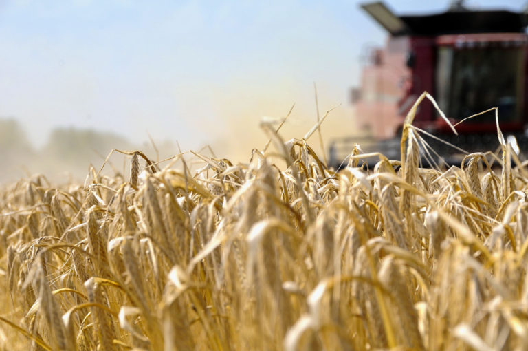 Globale Getreidebestände werden weiter abgebaut
