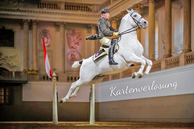 Tanz der Lipizzaner