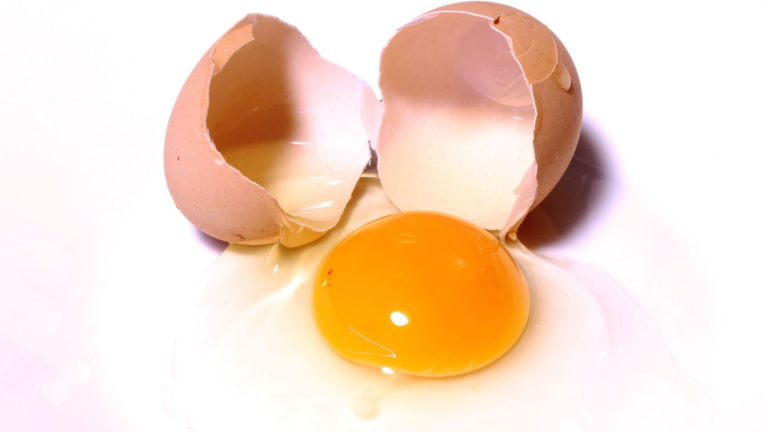 Eier sind aus￼