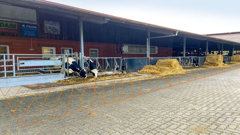 „InnoRind“ – Innovationen für mehr Tierwohl
