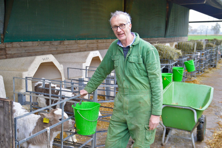 „Wir werden mit den Gänsen leben müssen“