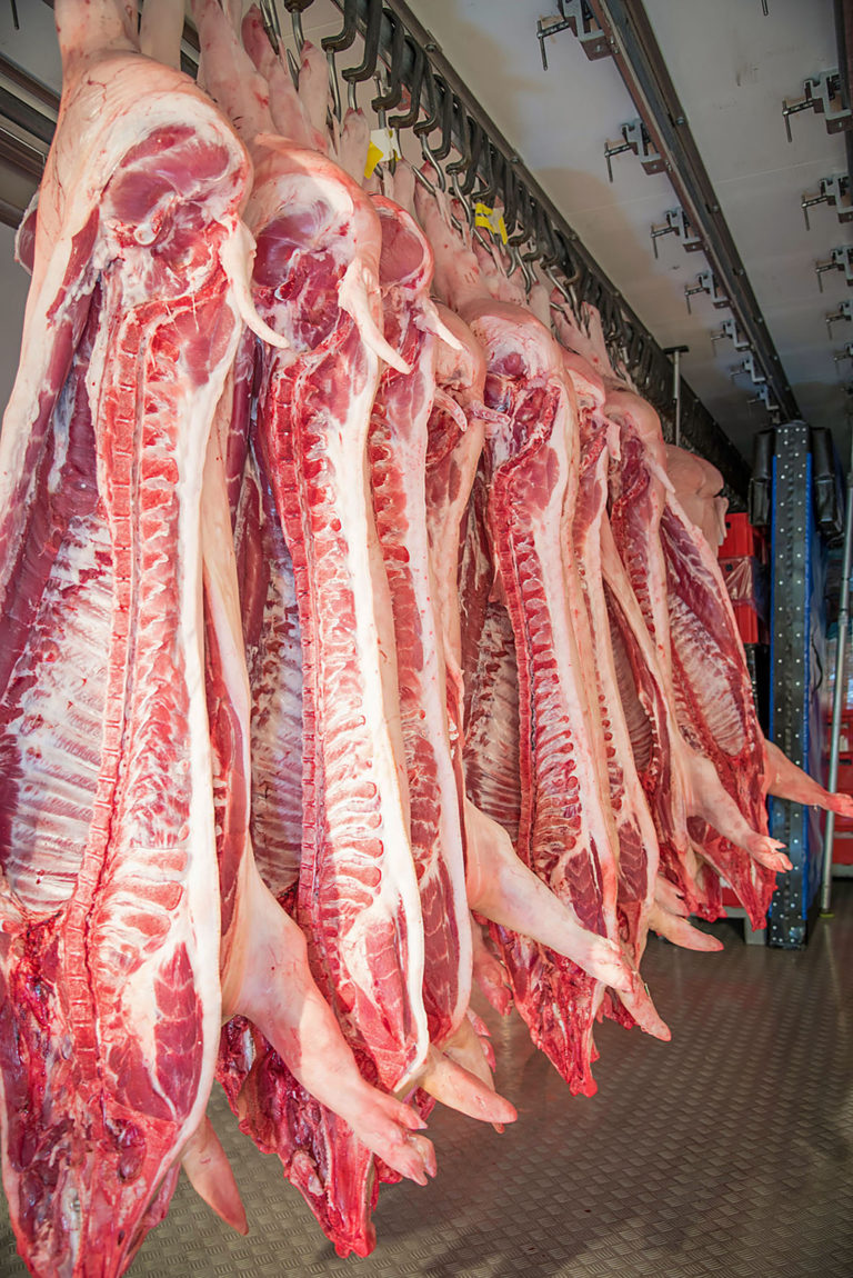 Milliardenminus beim Schweinefleischexport