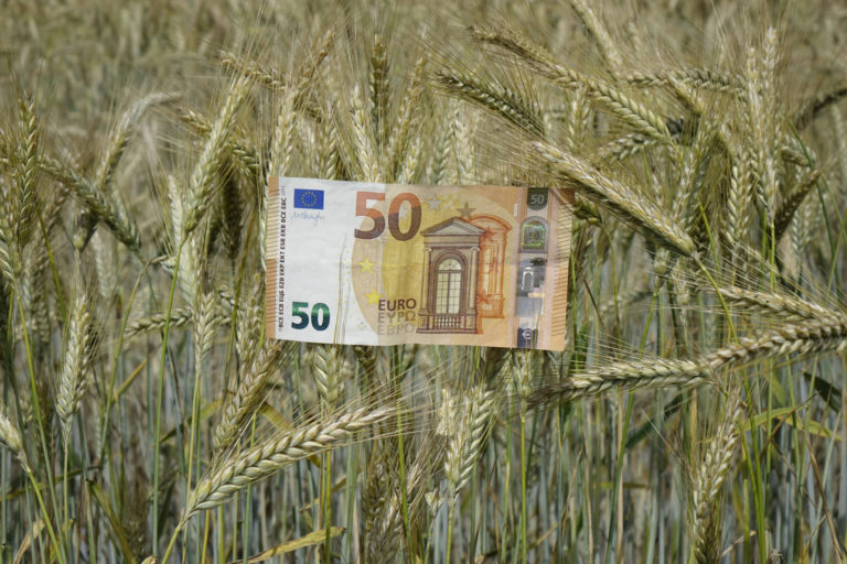 Ein turbulentes Getreidemarktjahr￼