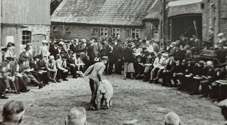 Wechselhafte Geschichte