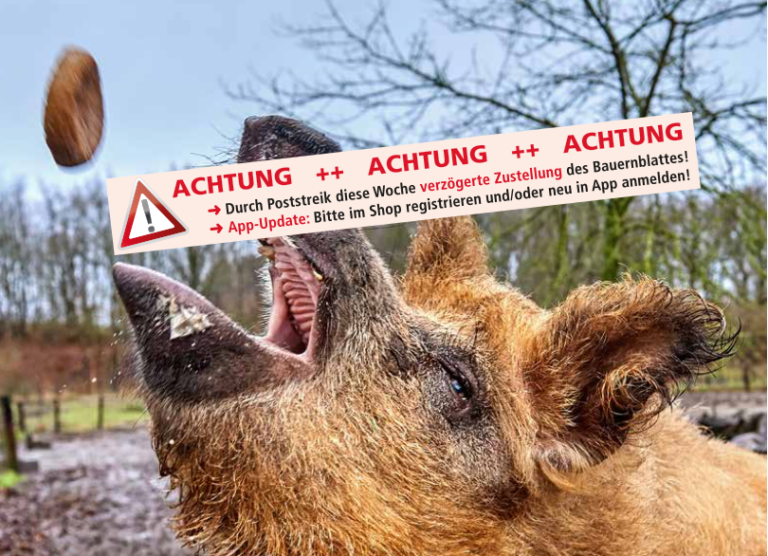 Poststreik: Digitales Bauernblatt frei verfügbar