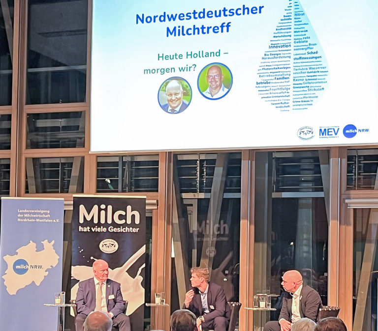 Hohe Preise und schwache Politik