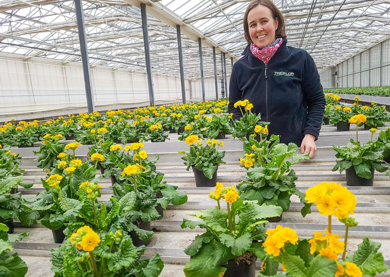 Gärtnereien im Energiesparmodus