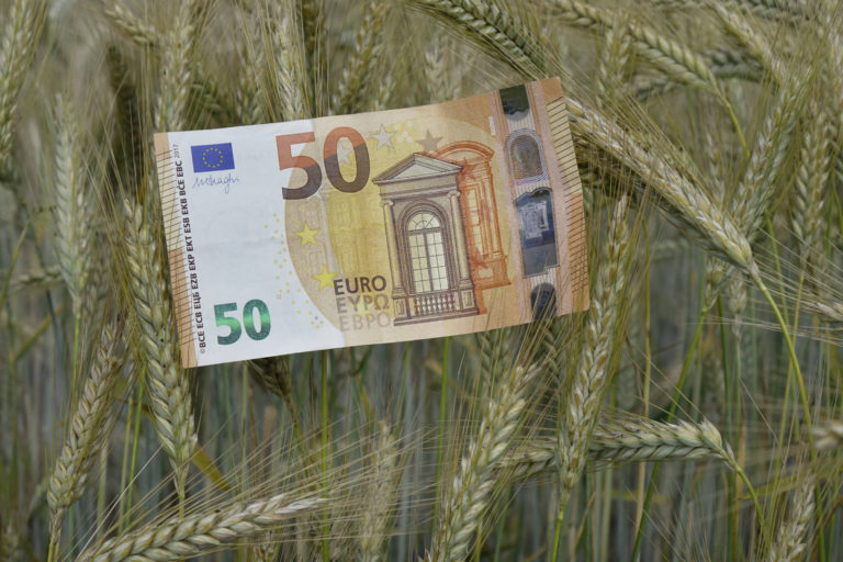 Getreidemarkt: Neue Impulse nach der Ruhephase
