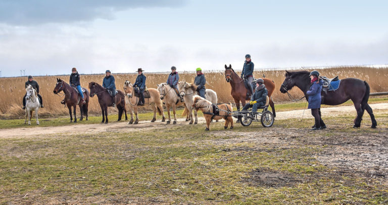Schleswig-Holstein-Cup: Kilometer mit dem Pferd sammeln