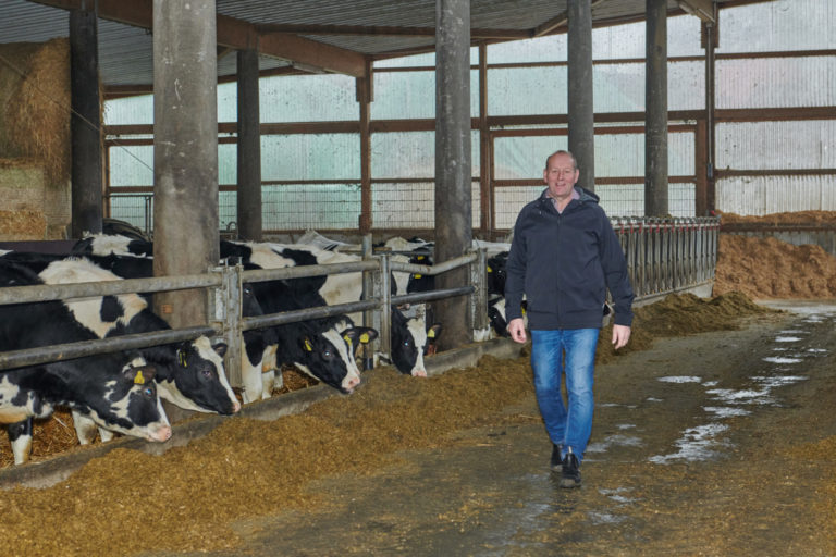Nicht wegducken und Butter bei die Fische in Büsum