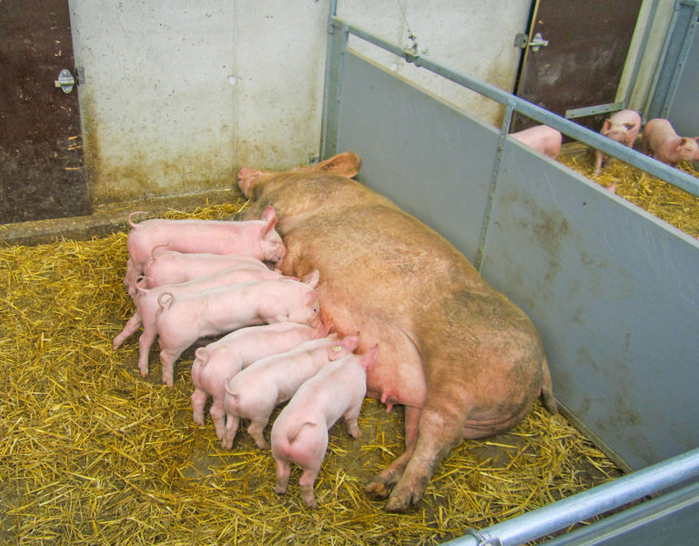 Herausforderungen annehmen, Lösungen finden