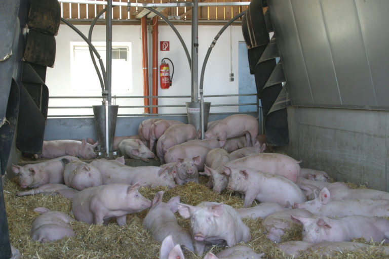 Brandbrief zum Strukturbruch in der Tierhaltung