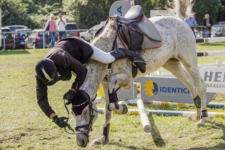Coaching im Reitsport