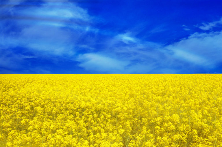 Ukrainischer Agrarunternehmer Lissitsa: „Wir müssen siegen“