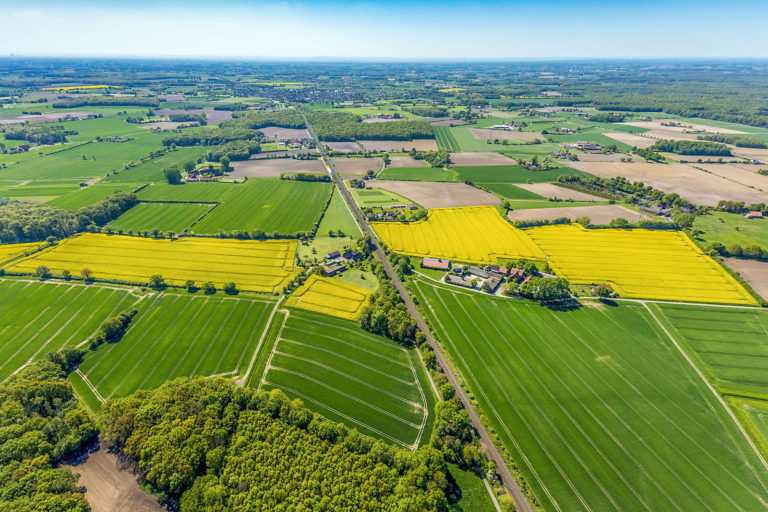 BVSH-Programm: Kritischere Haltung zum Green Deal angemahnt