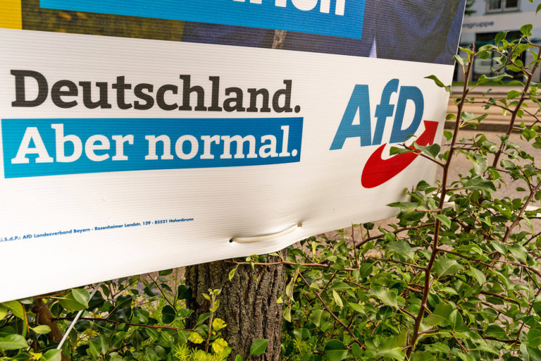 AfD – wer ist schuld?