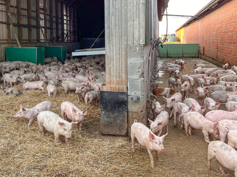 Biobetrieb mit vielen Standbeinen 