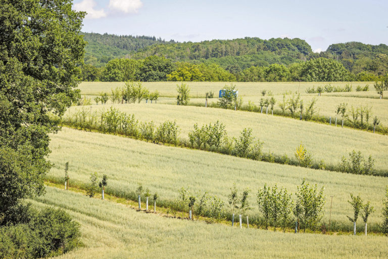 Höhere Prämie und vereinfachte Anforderungen