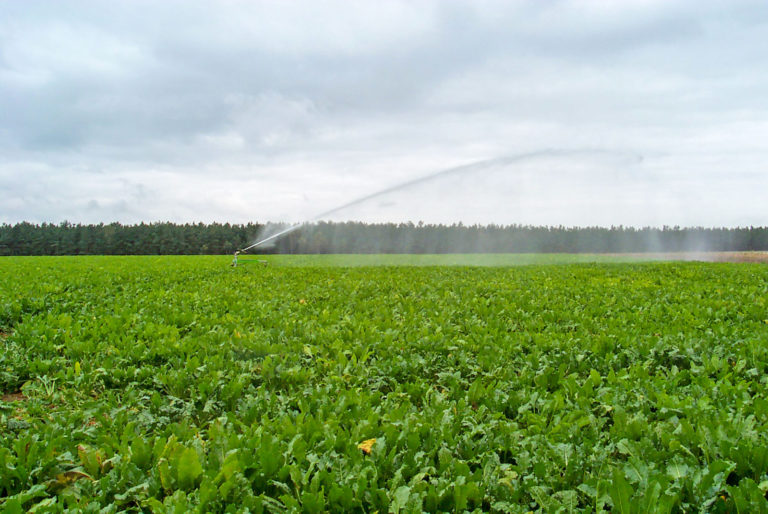 Wassermanagement überdenken!