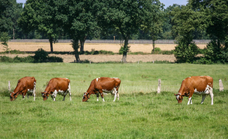 Ganz weit vorne – Kommentar zum Klimaschutzprogramm 2030