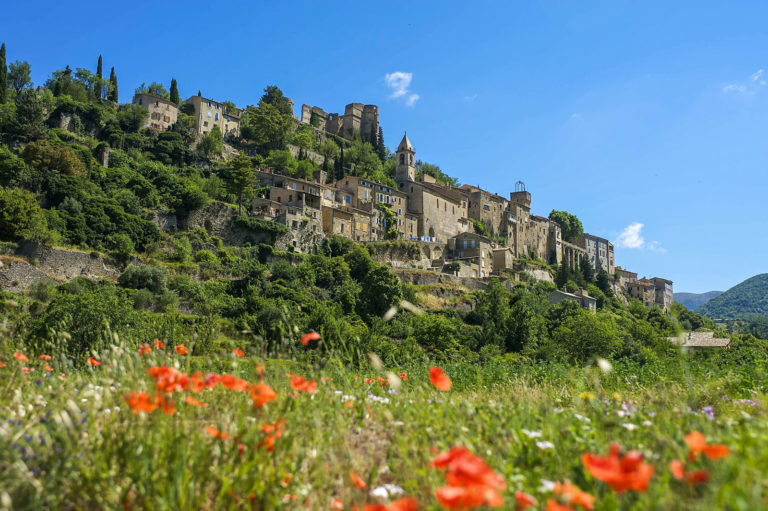 Frankreich legt nationale Biodiversitätsstrategie vor