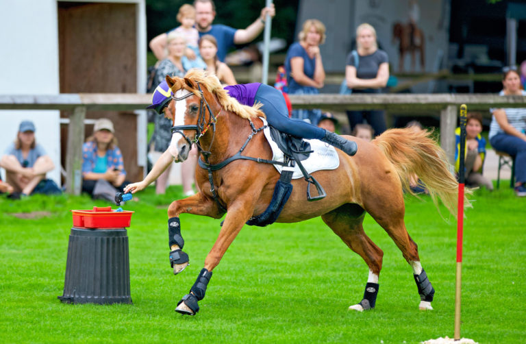 Pferdefest des Nordens in Bad Segeberg