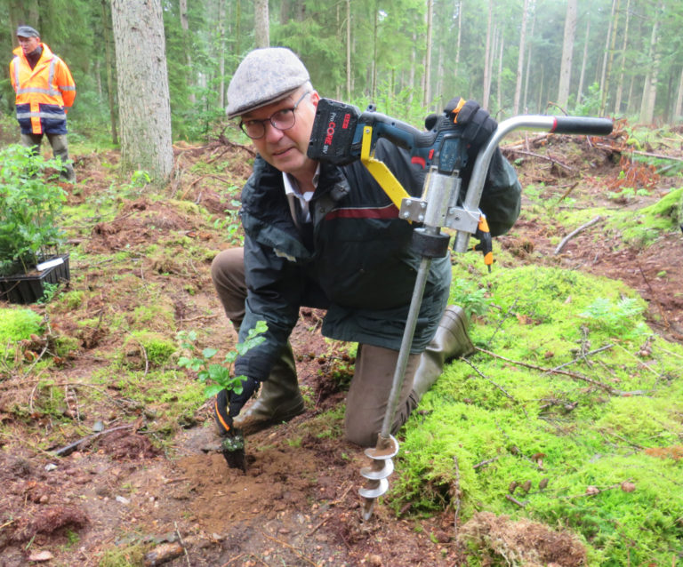Von der Monokultur zum Mischwald