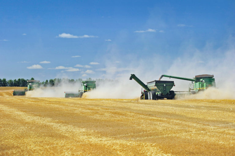 Global zweitgrößte Ernte aller Zeiten erwartet