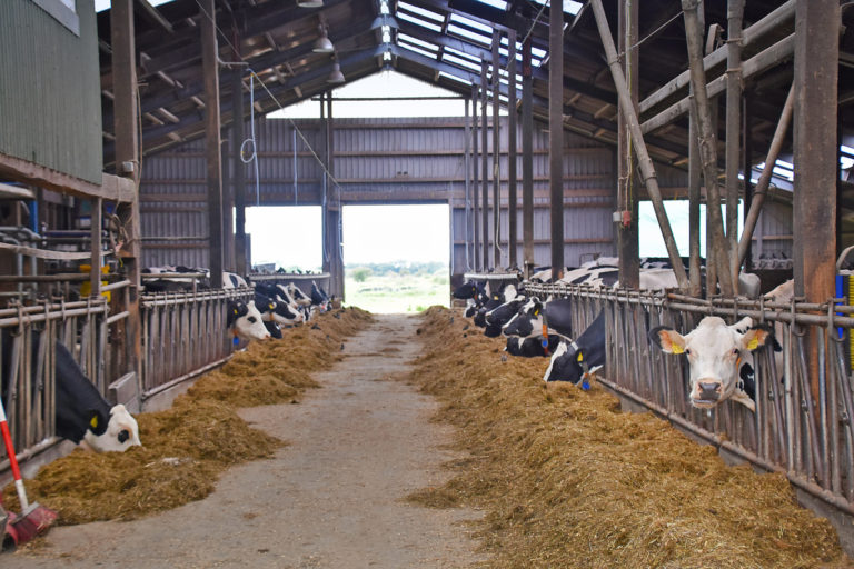 „Tierhaltung ist das Rückgrat der Landwirtschaft“