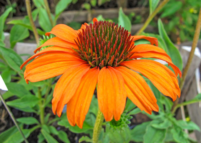 Mit Knallfarben in den Herbst